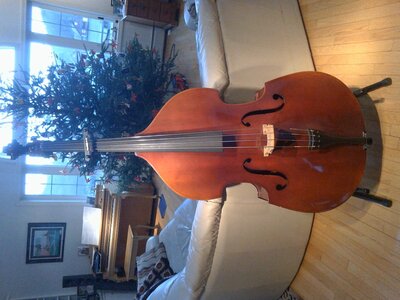 Josef Lazar Student Bass 1/2 Size CT/NY/MA,-Stand, Bow, and Nice Bag