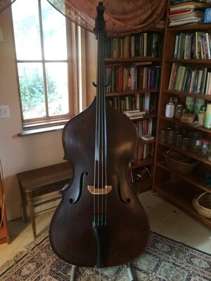 Upton Double Bass, The Brescian