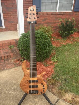 Elrick Gold Series Burl Top 6