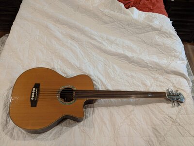 Michael Kelly 5 string fretless acoustic