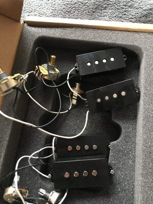 P Pickups (SX, MiM Fender)