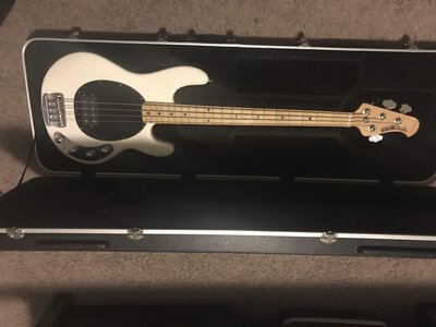 Ernie Ball Music Man Stingray