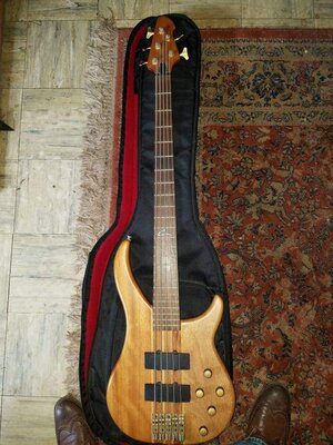 Peavey Cirrus BXP 5 string Bass