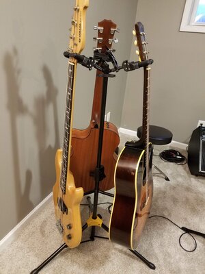 bass plus acoustics.jpg