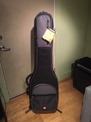 Brand-new Road Runner Boulevard Series bass gig bag