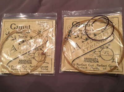 Gamut Pistoy Gut G String, Medium Gauge