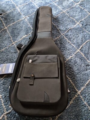 Reunion Blues Renegade leather gig bag NEW