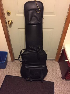 Wyn genuine leather gig bag