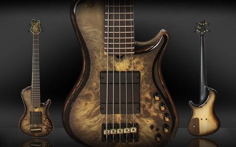 Brubaker Buckeye Burl KXB Custom 5 string