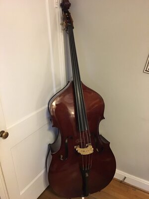 Chadwick Folding Bass (Fully Laminate)