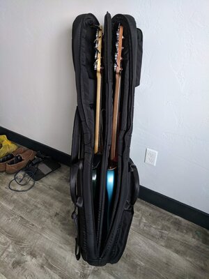 Mooradian Double Electric Bass Case / Gig Bag