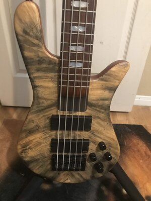 Spector NS-2 5H EX Burl