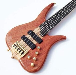 Surine Quest 5 string gloss finish