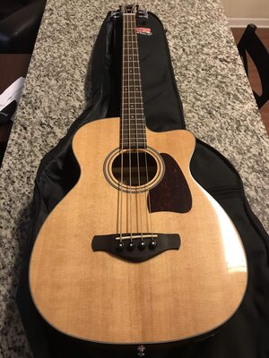 Ibanez AVCB9CE-NT Solid Top Acoustic Bass w/ Gig bag, New Strings Price Drop!