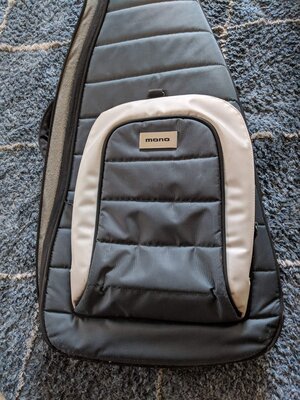 Mono M80 gig bag VG condition