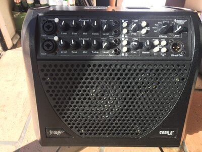 Acoustic Image Coda R amp/ with case (price drop)