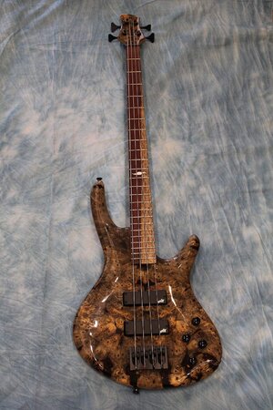 Roscoe Century Custom Buckeye Burl