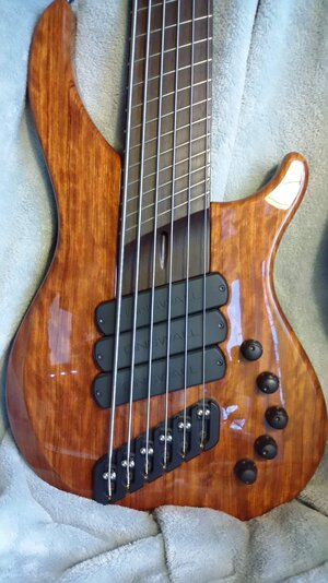 Dingwall AB-HSXXX 6-String w/ Darkglass