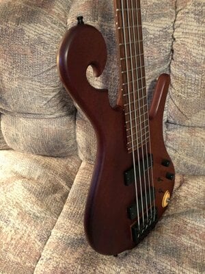 Carl Thompson 5 string bass