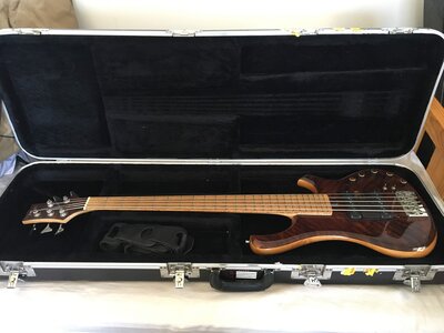 Ristola Instruments Exotic 5 string bass