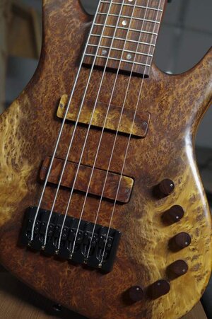 Absolutely Beautiful Wyn 6 String Bass