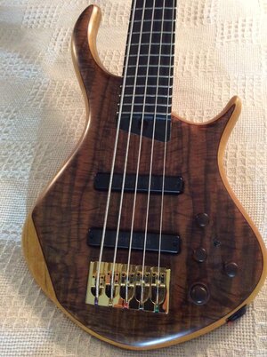 Price Drop - Warrior 5 String Bass