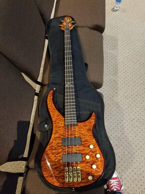 Peavey Cirrus BXP