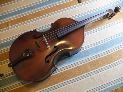 Kay M3 1/4 Bass