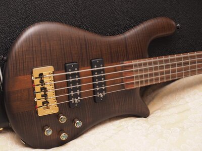 Spector Forte 5 Flame Maple on Walnut