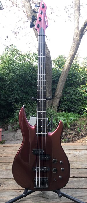 Stunning neck-through Peavey Dyna Bass Unity Series bass in rare Black Cherry finish, active/passive