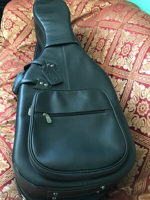 Reunion Blues double Leather Gigbag .