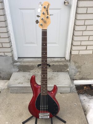 EBMM musicman Stingray 5 H in transparent red