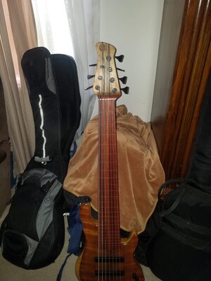 Fretless  7 String Clement