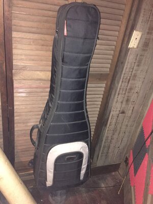 Mono M80 Dual Bass Gig Bag