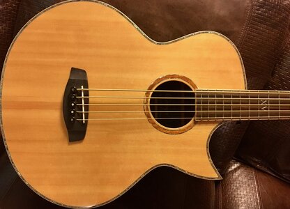 Ortega Ken Taylor Signature 5 String ABG