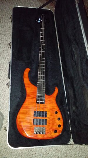 Modulus Q4 - Full Front 2.jpg