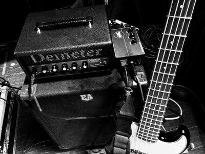 Demeter Bass 800D