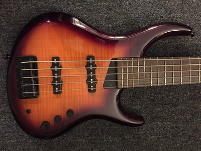 MTD Grendel 5 string - beautiful bass!