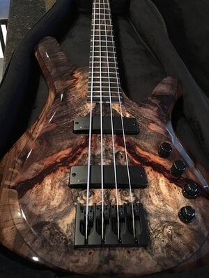 Kiesel V49K Vanquish 4 string 2017 Buckeye Burl 2017 NAMM Build