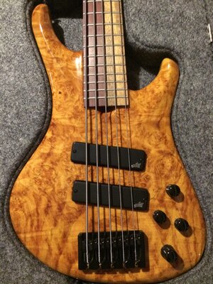 2005 Roscoe Custom LG5 (Trades: Lakland USA 5, Lull 5, Lowend 5 or Roscoe 5)