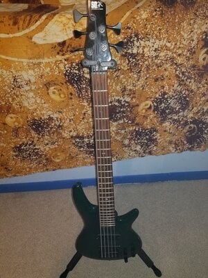 MIK Ibanez SR1205 neck through Bartolini Hipshot PRICE DROP