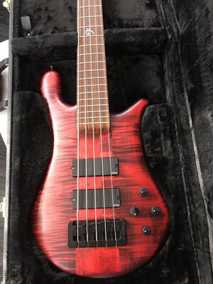 Spector Forte 5 Wide