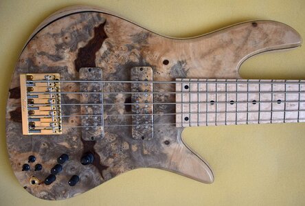 Fodera Emperor Deluxe 5 buckeye burl