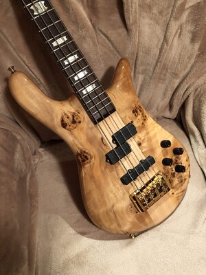 Spector euro4lx NAMM2018 poplar  burl