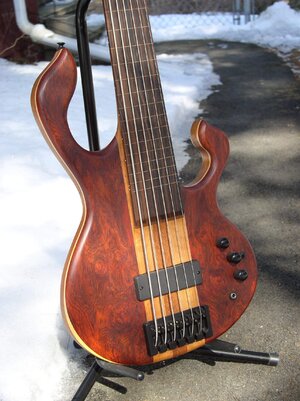 FBB six string fretless