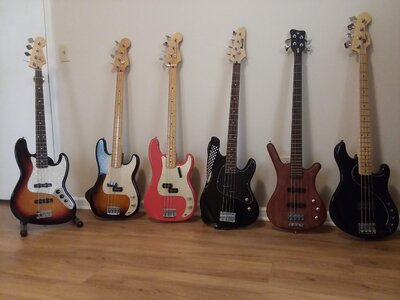 Bass PURGE Fender Warwick Ibanez Squier