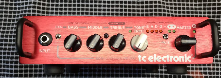 TC Electronc BH 250 Micro Bass Head