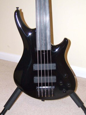 Roscoe SKB 5 Custom, Fretless 5 string