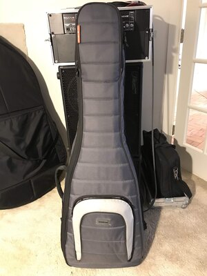 Mono Dual Bass gig bag