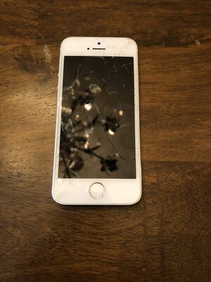 iPhone 5s 16gb (Sprint)